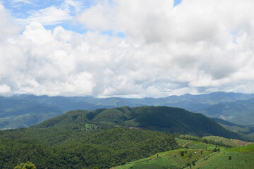 Rice fields in Thailand with copy space