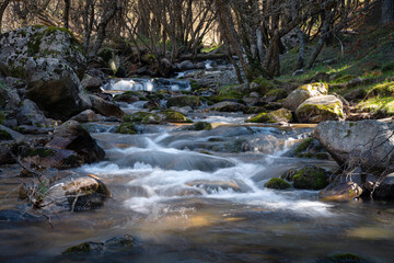 Wall Mural - River water flows among the rocks and forms small waterfalls, Rascafría, Madrid, Spain