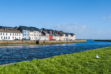 Wall Mural - Colorful houses in the quay of the Claddagh area, formerly a fishing village, where the the mouth of river Corrib meet Galway bay, in Galway, Ireland. 