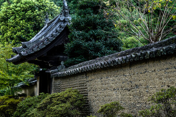 Canvas Print - Toshodaiji Temple in Nara.