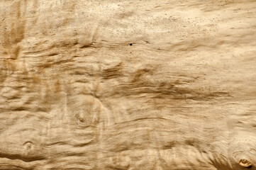 Wall Mural - Barkless tree wooden surface closeup as wooden background