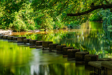 Wall Mural - Stepping Stones