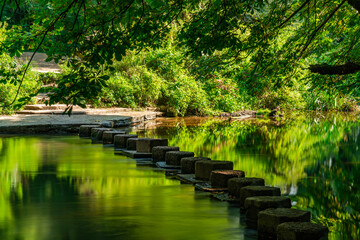 Wall Mural - Stepping Stones