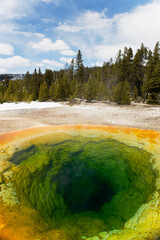 High angle view of a thermal pool, Morning Glory pool, Upper Geyser Basin, Yellowstone National Park, Wyoming, USA