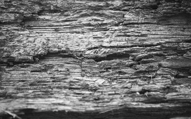 old wood texture