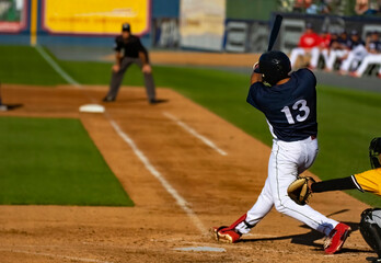 Wall Mural - baseball player