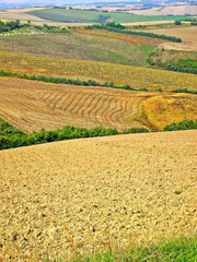 Italy, Marche, Apennines landscape around Belvedere Ostrense village.