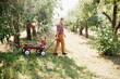 © Serenkonata - grandfather with granddaughter with Apple in the Apple Orchard. Multi generation family enjoying in the park.