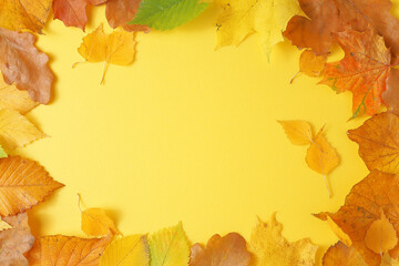 Frame made of leaves on a yellow background.