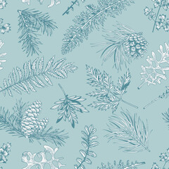 Wall Mural - Winter seamless pattern with fir and pine branches, cones, fern and leaves. New year print. Botanical vector illustration. Light blue background.