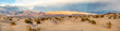 Mesquite flats in the death valley desert in sunset light