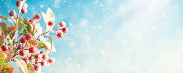 Wall Mural - Christmas or winter background with snowy red berry branches. Nature landscape with copy space