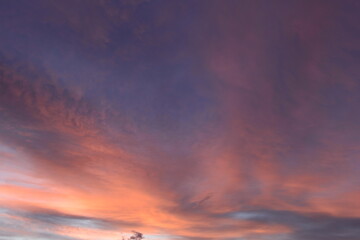 Wall Mural - Sky colors orange twilight on the blue background