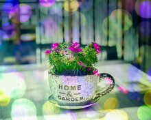 Flower Pot. Isolated. Cup And Saucer Shape Flower Pot With Bokeh Effect In The Background. Stock Image