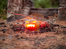 Calabaza De Halloween Con Fuego En Su Interior En Un Bosque Para Celebrar El Día De Muertos O De Todos Los Santos