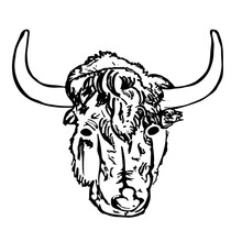 Yak Head Isolated On White Background. Hand Draw Taurus Sketch. Antique Engraving Of Highland Cattle. Farmers Bull. American Bison. Lunar Horoscope Sign Ox, Bull, Cow.  Stock Vector Illustration