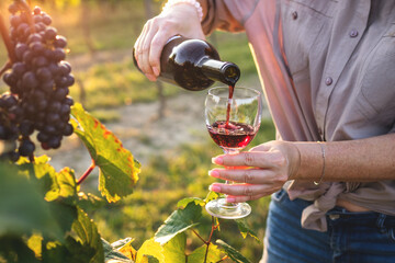 Woman pouring red wine into glass at vineyard. Sommelier tasting wine