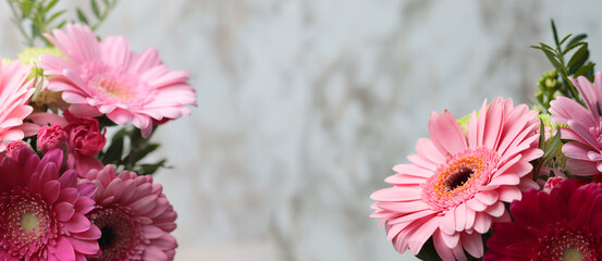 Sticker - Gerbera right and left on blurred background as a card or backdrop