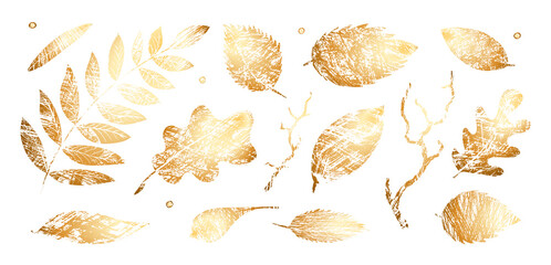 Wall Mural - set of texture gold leaves. vector grunge modern textured brush stroke, scribbled. abstract plant pr