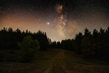 Wall Mural - night landscape , beautiful starry night in the forest and bright milky way galaxy. beauty in nature