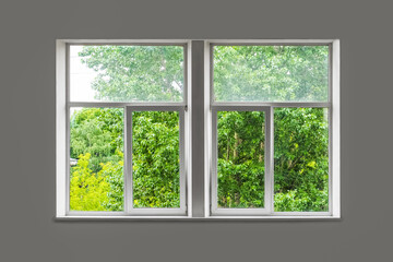 Closed white window overlooking green garden. Green trees outside the window