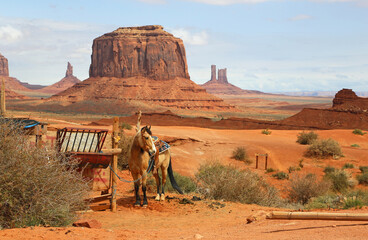 Horse in western scenery - Monument Valley - Arizona, Utah