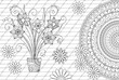monochrome contour lines abstract background with narcissus in pot and mandala
