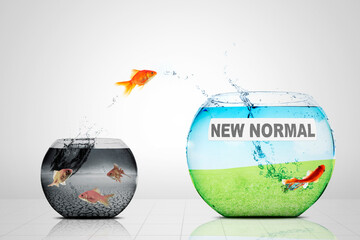 Sticker - Goldfish moving to aquarium with new normal text