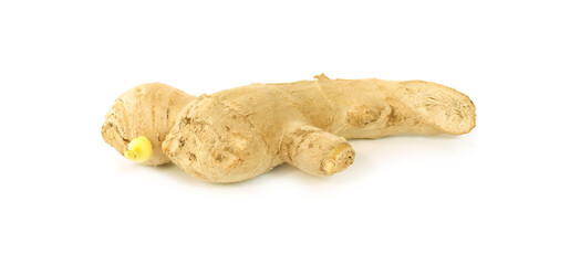 Wall Mural - Fresh ginger on white background, herb medical concept