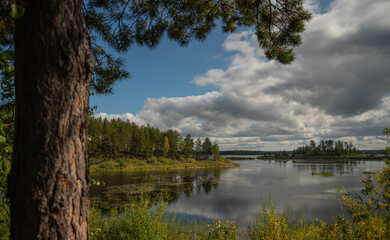 Wall Mural - Forest lake