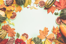 Autumn Background: Pumpkins And Fallen Leaves On Bright Colorful Background. Top View And Copy Space. Halloween Or Thanksgiving Day