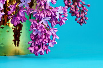 Wall Mural - Blossoming branches of lilac (Syringa vulgaris). Violet flowers in a golden vase on a blue background.