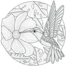 Hummingbirds And Flowers.Coloring Book Antistress For Children And Adults. Illustration Isolated On White Background.Black And White Drawing.Zen-tangle Style.