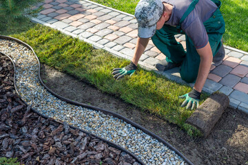 Wall Mural - Man laying grass turf rolls for new garden lawn