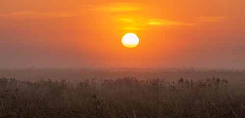 Wall Mural - autumn sunrise in the meadow