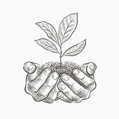 Hands and plant sketch vector illustration. Environment protection, business concept