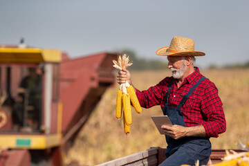 Sticker - Farmer with tablet holding corn cobs during harvest