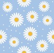 White daisies on a blue background