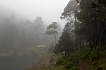 cabin beside Iturbide lake with fog on fall morning in mexican forest