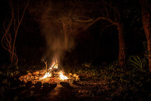 Flames Of A Campfire At Night In A Dark Spooky Forest Surrounded By Stones Shaping Strong Shadows