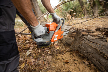 lumberjack with chainsaw in forest