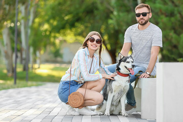 Sticker - Young couple with cute Husky dog in park