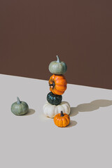 Wall Mural - Retro styled conceptual still life arrangement with pumpkins and hard shadows. Halloween holiday theme creative concept. Autumn colors. Modern aesthetic. Copy space.