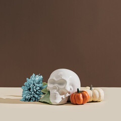 Wall Mural - Retro styled still life arrangement with pumpkins, skull, flower  and hard shadows. Halloween holiday theme creative concept. Autumn colors. Copy space.