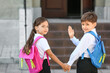 Little pupils going to school
