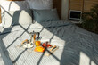 © Pixel-Shot - Tray with tasty breakfast on bed