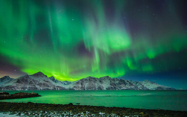 aurora borealis over the lyngen alps in north norway