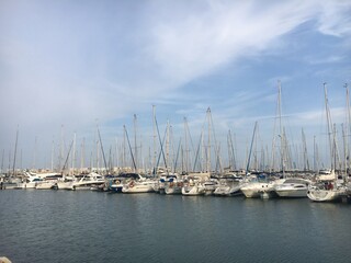 Wall Mural - yachts in marina