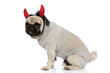Side view of bothered Pug puppy wearing devil horns