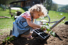 Small Girl Planting Outdoors In Garden, Sustainable Lifestyle Concept.